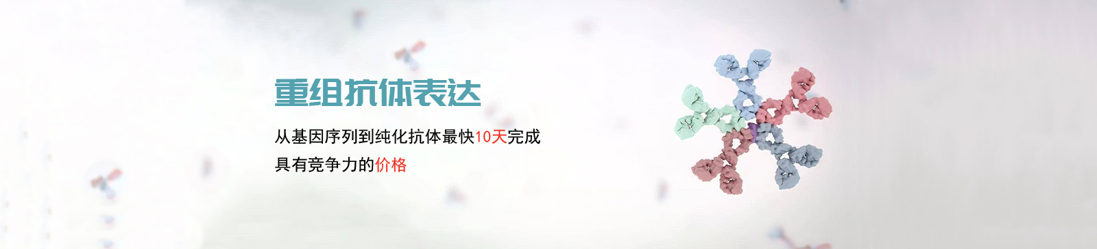 重组抗体banner