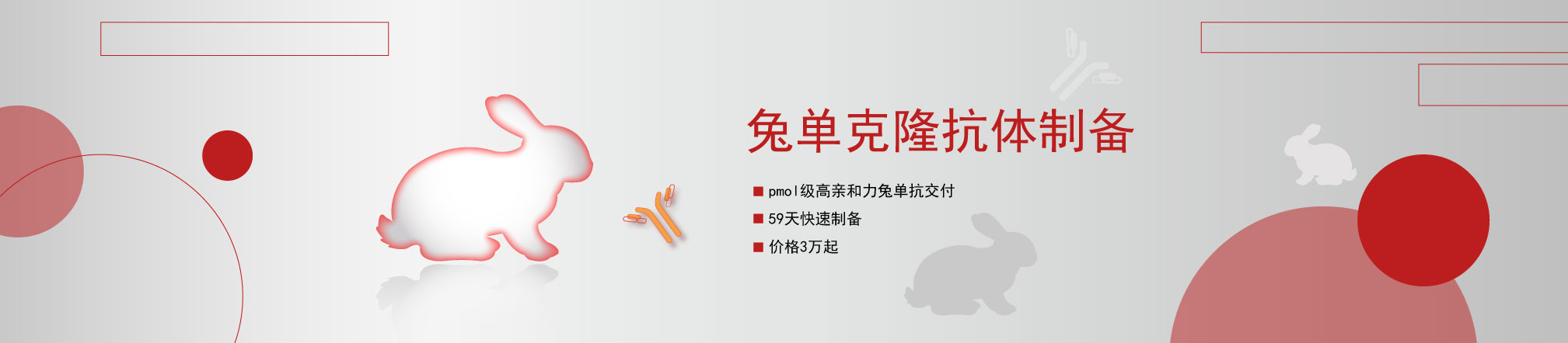 头部banner