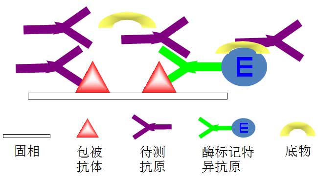 竞争法原理图