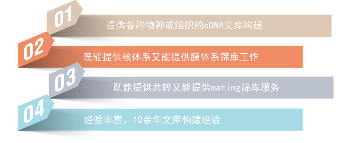 酵母双杂交