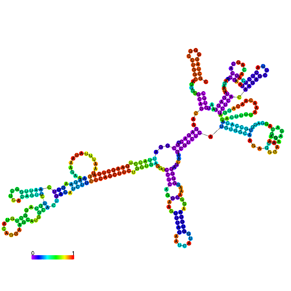 lncRNA测序