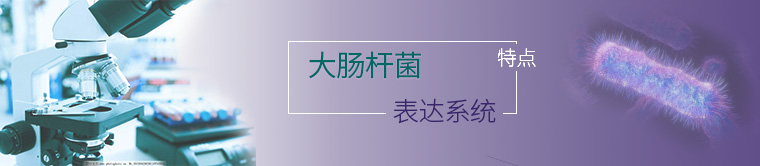 大肠杆菌表达系统的特点