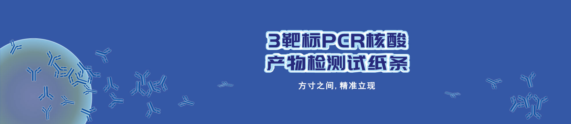3靶标核酸胶体金试纸条