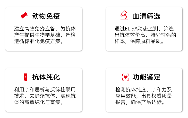 ADA特异性多克隆抗体制备实验流程