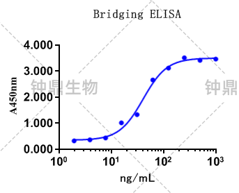 Bridging ELISA检测结果