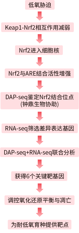 第二篇文献研究思路