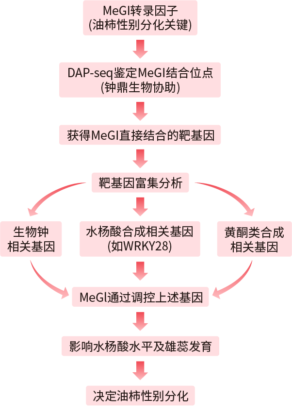 第三篇文献研究思路