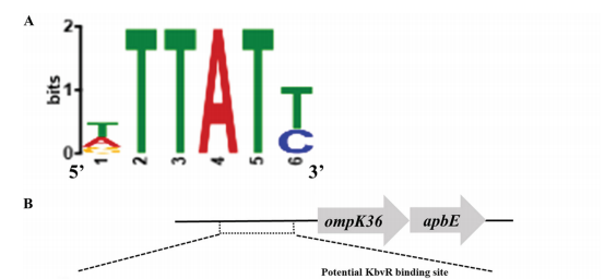 第一篇文献结果图