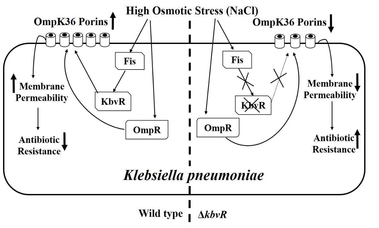 第一篇文献结果图