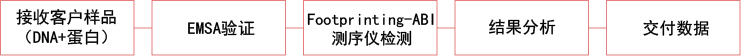 实验流程