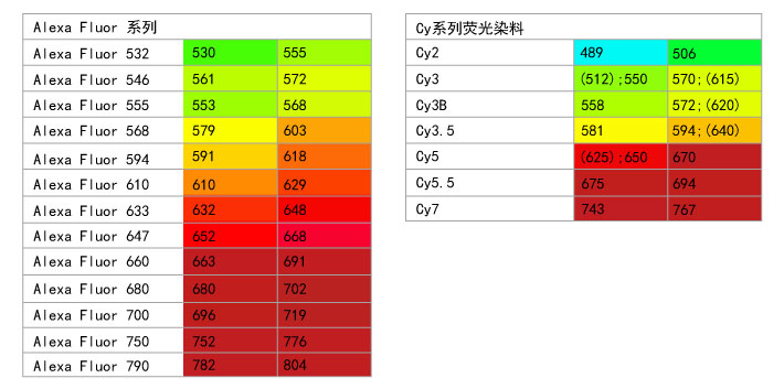 抗体标记