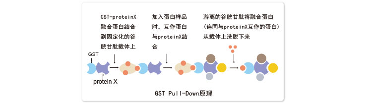 GST pull-down