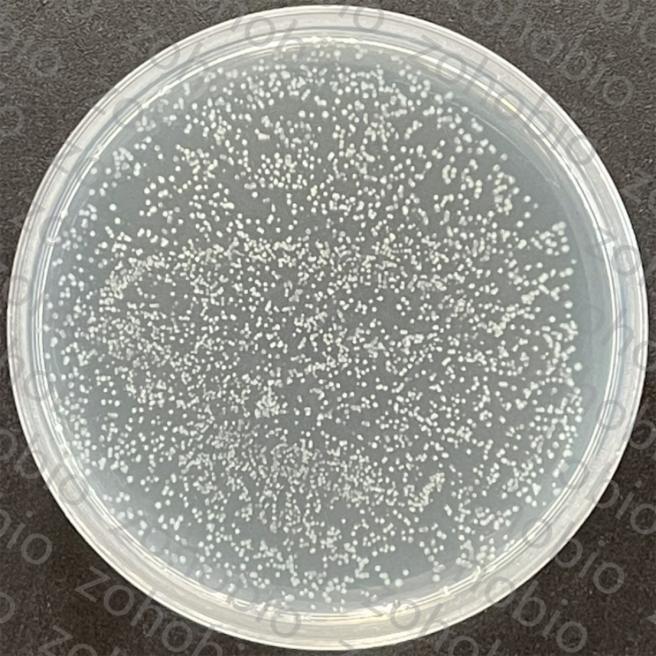 次级文库库容量鉴定