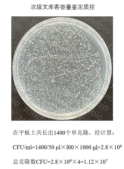 库容量鉴定