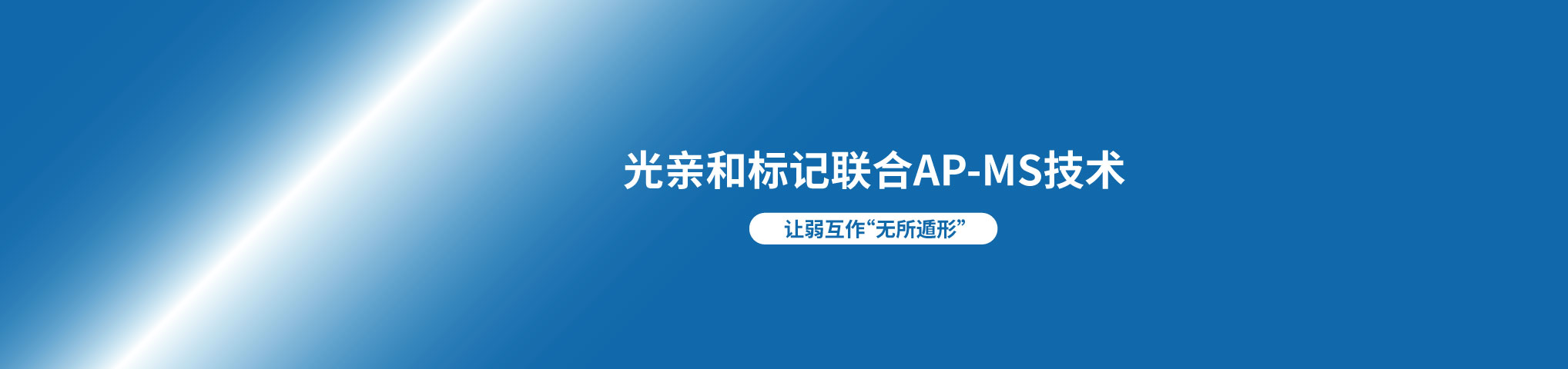 GST pull-down实验服务