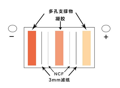 电转移法