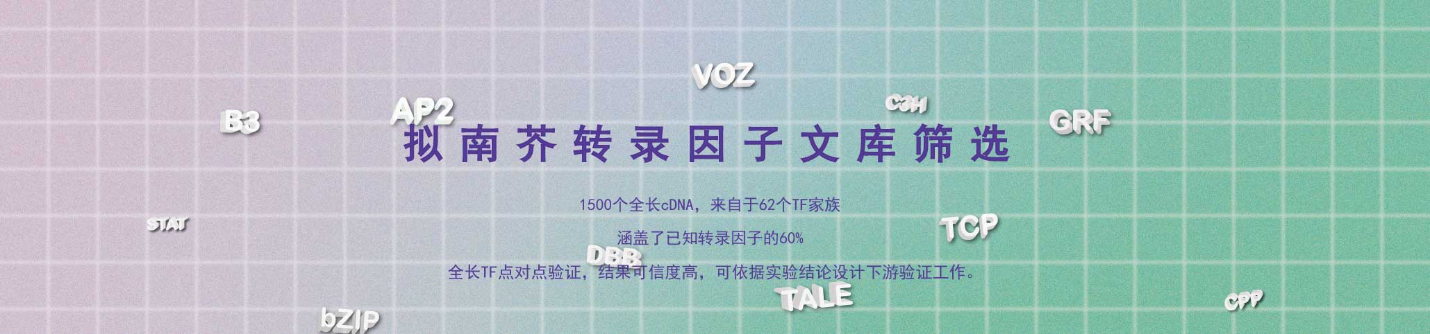 头部banner
