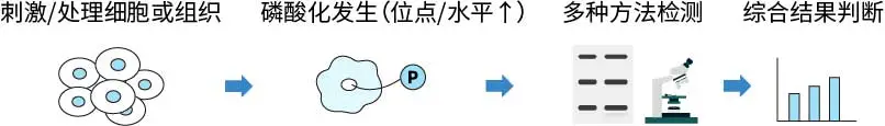 核心思路