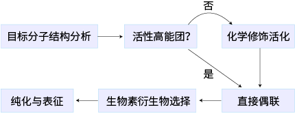 小分子化合物偶联