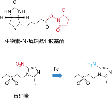 如何实现小分子化合物的偶联标记