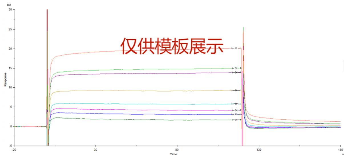 spr蛋白A和小分子B的相互作用测定