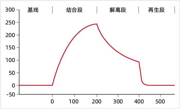 标准SPR曲线四阶段示意图