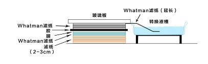 向下转移法