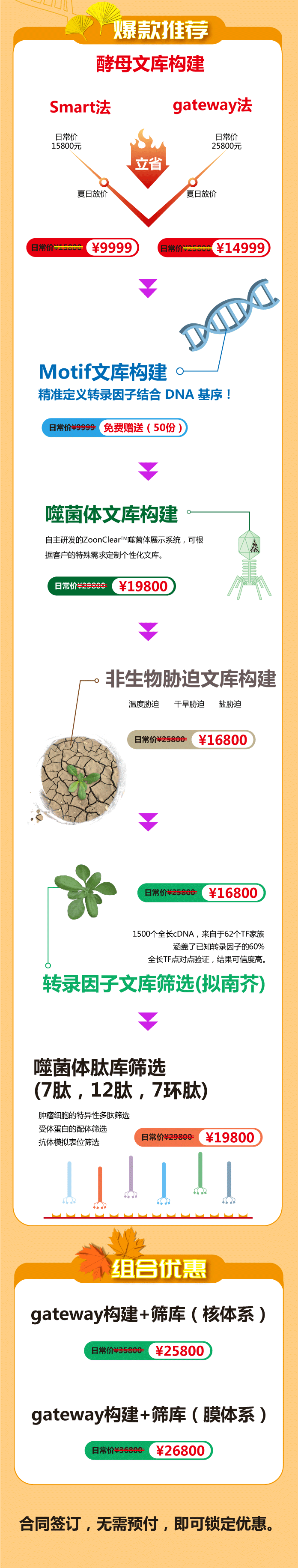 文库构建，文库筛选