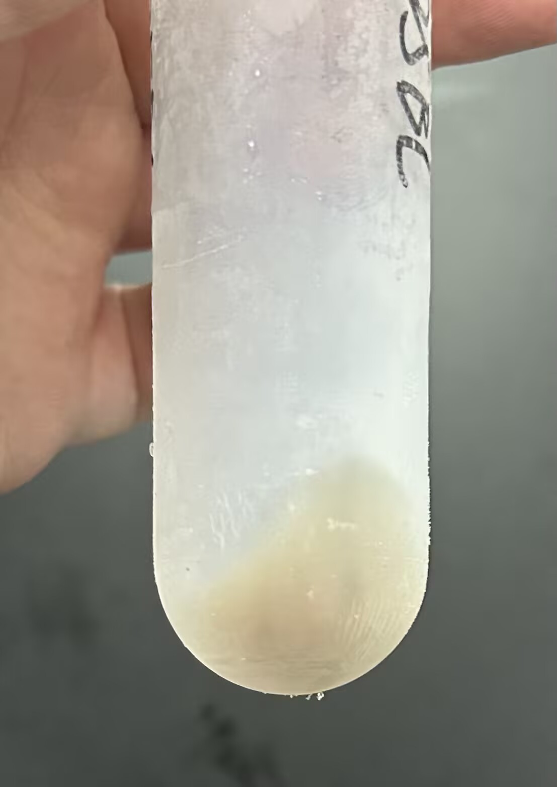 蛋白纯化