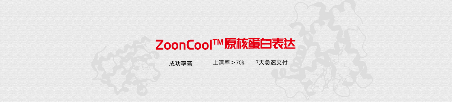 头部banner