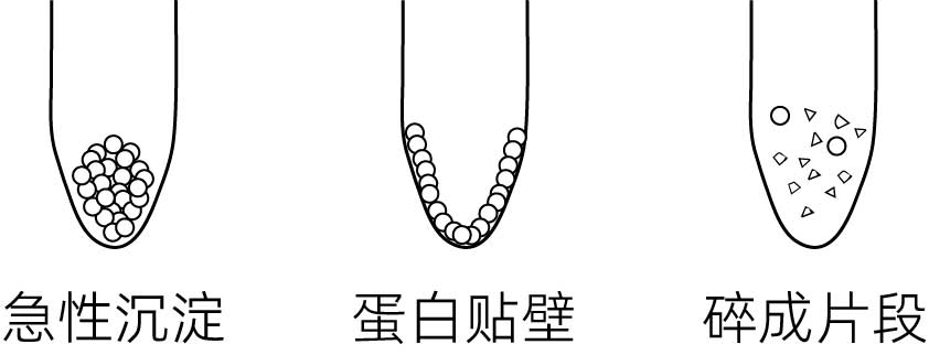 消失的蛋白