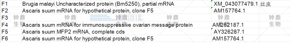 次级文库测序Blast结果